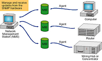 click to view at full size