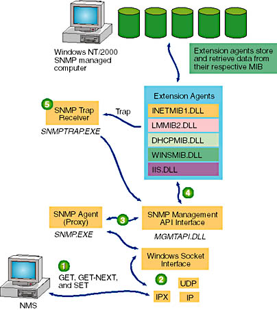 click to view at full size