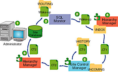 click to view at full size